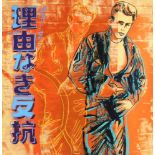 Andy Warhol (1928-1987) James Dean - Rebel Without a Cause 1984, Ronald Feldman, large screen print,