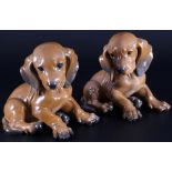 Rosenthal 2 Dackelwelpen, Theodor Kärner, dachshund puppies,