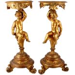 Italien 19. Jahrhundert Paar Tischkonsolen, italy 19th century pair of table consoles,