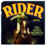 Advertising Poster Rider Fruit Eustis Packing Florida USA