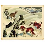 Advertising Poster Chamois St Bernard Dogs Useful Animals Of The World