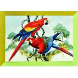 Travel Poster Tierpark Berlin Zoo Parrots Macaw