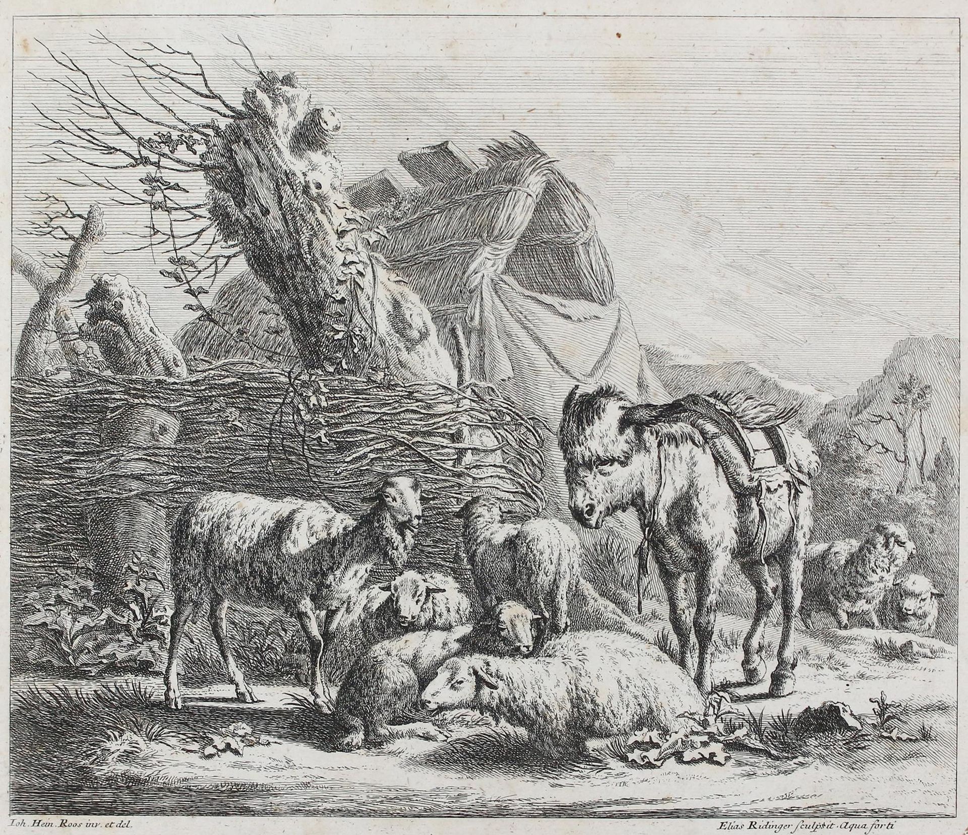 Roos, Johann Heinrich