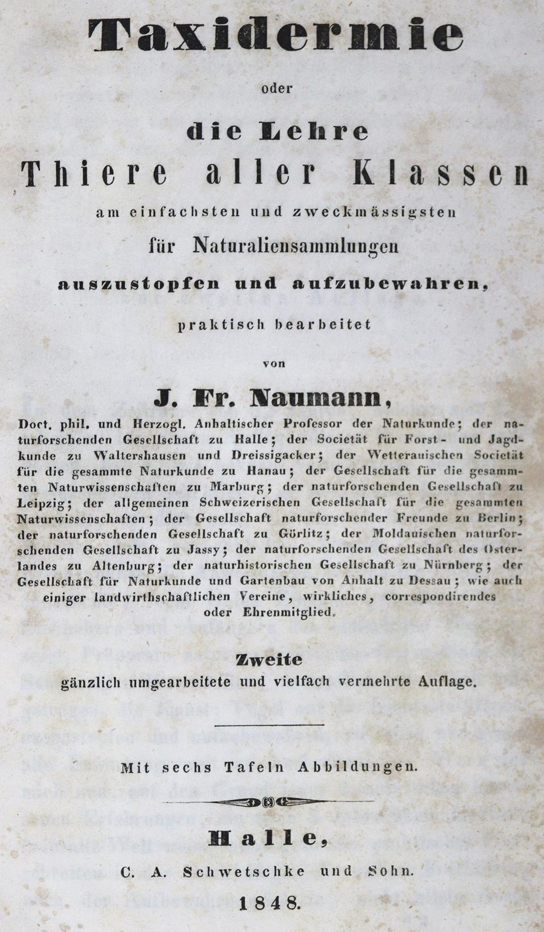 Naumann,J.F.