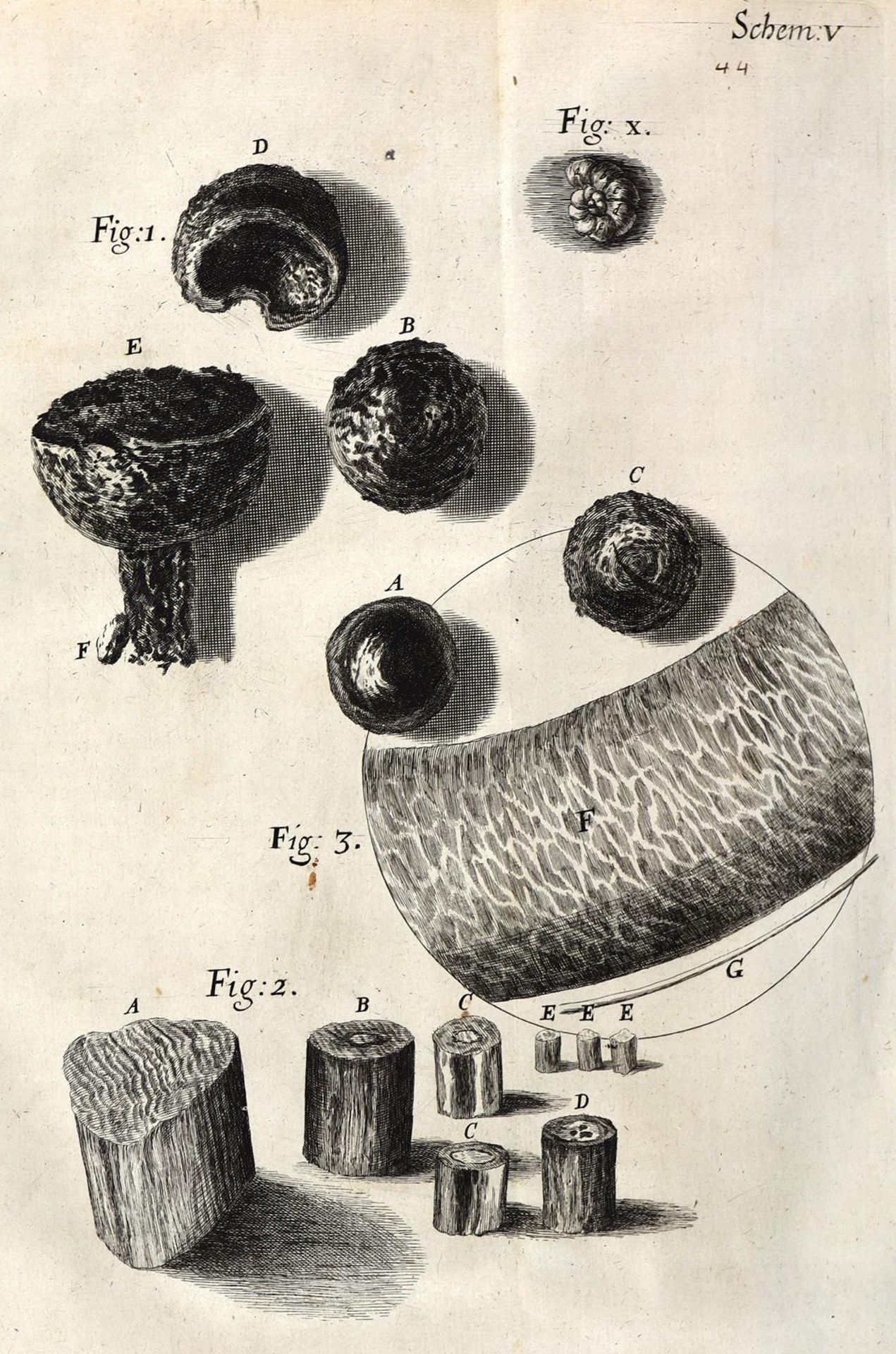 Hooke,R. - Bild 8 aus 17