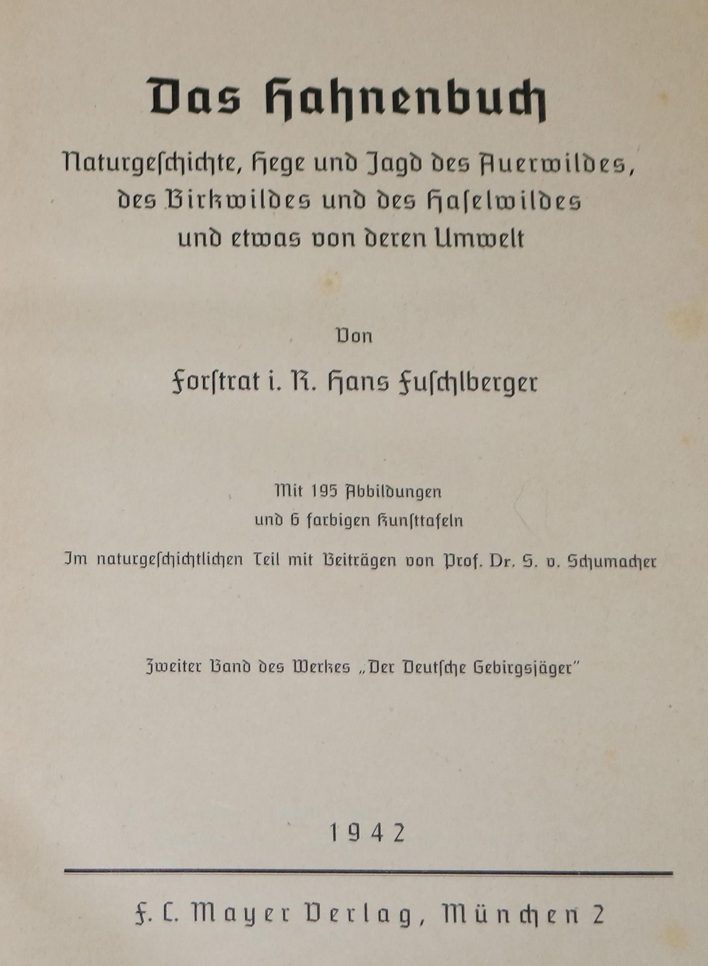 Fuschlberger,H. - Bild 2 aus 2