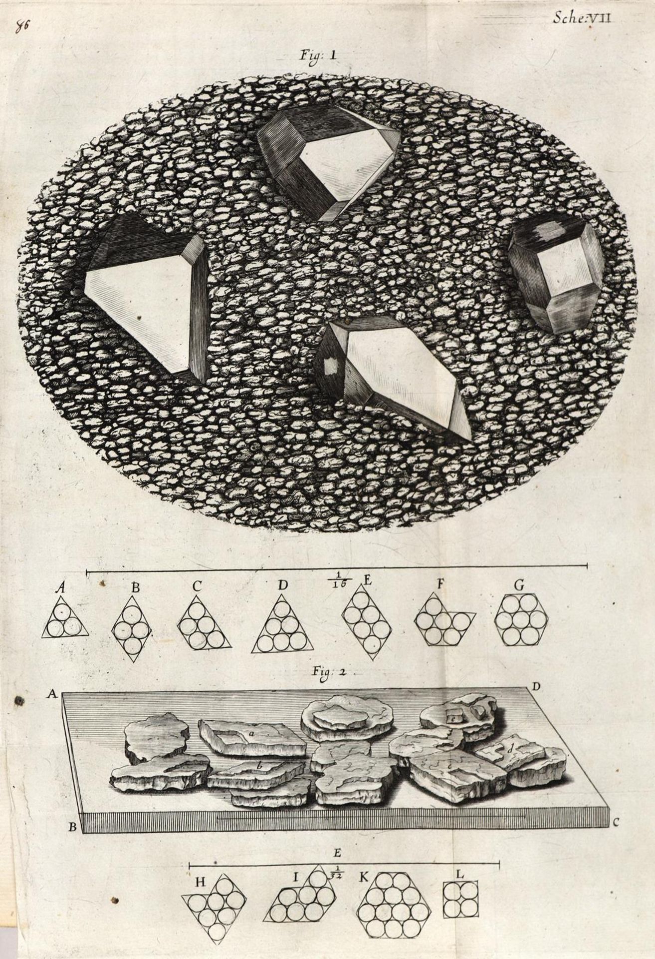 Hooke,R. - Bild 10 aus 17