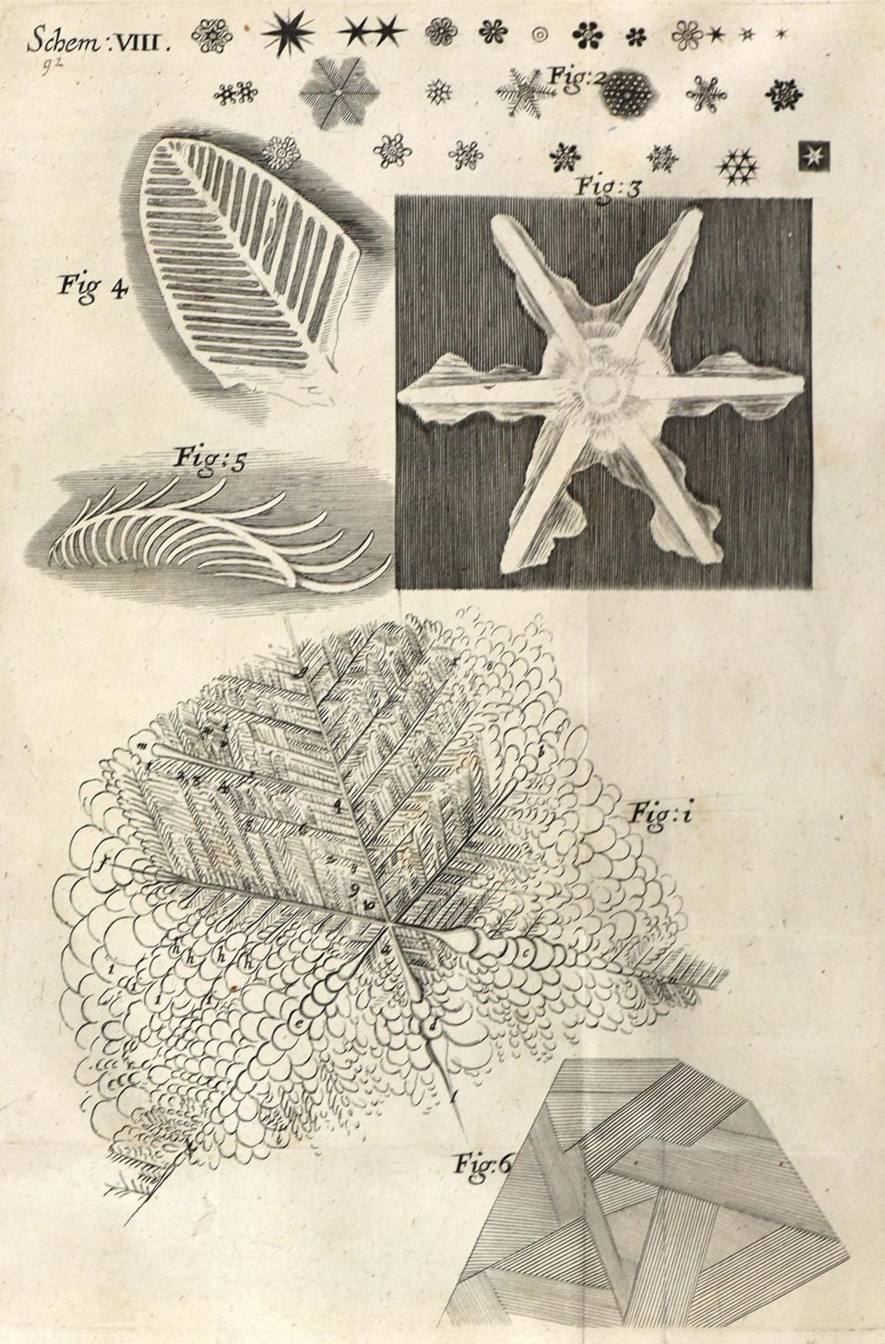 Hooke,R. - Bild 11 aus 17