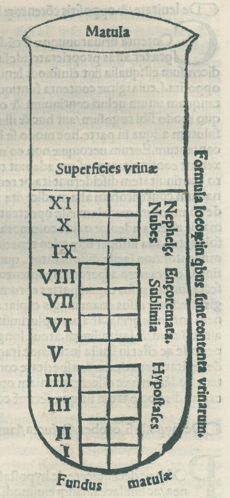 Actuarius,J. - Image 2 of 2