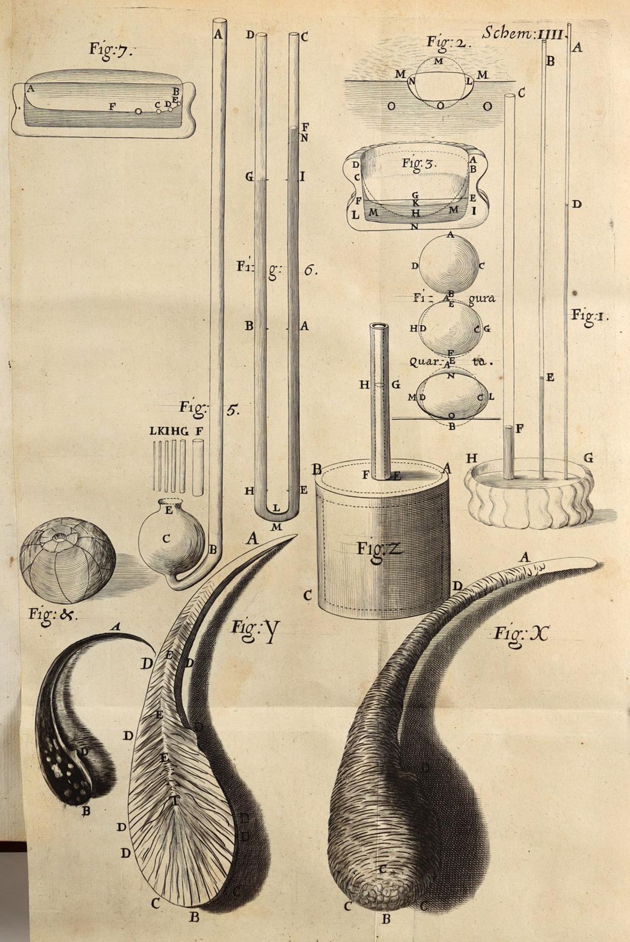 Hooke,R. - Bild 7 aus 17