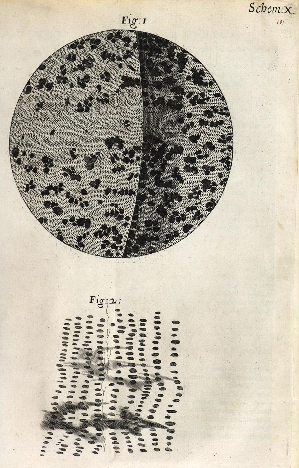 Hooke,R. - Bild 13 aus 17