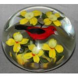 Glas. Paperweight / Briefbeschwerer. Ayotte, Rick. (Roter Vogel (Roter Fink ?) zwischen gelben