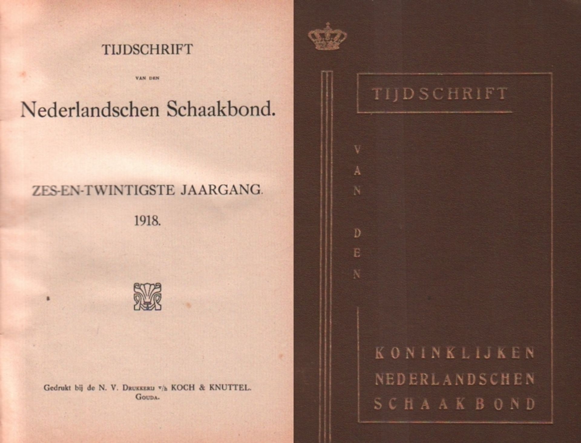 Tijdschrift van den Nederlandschen Schaakbond. Hoofdredacteur: J. J. Speet. 26. Jahrgang 1918.