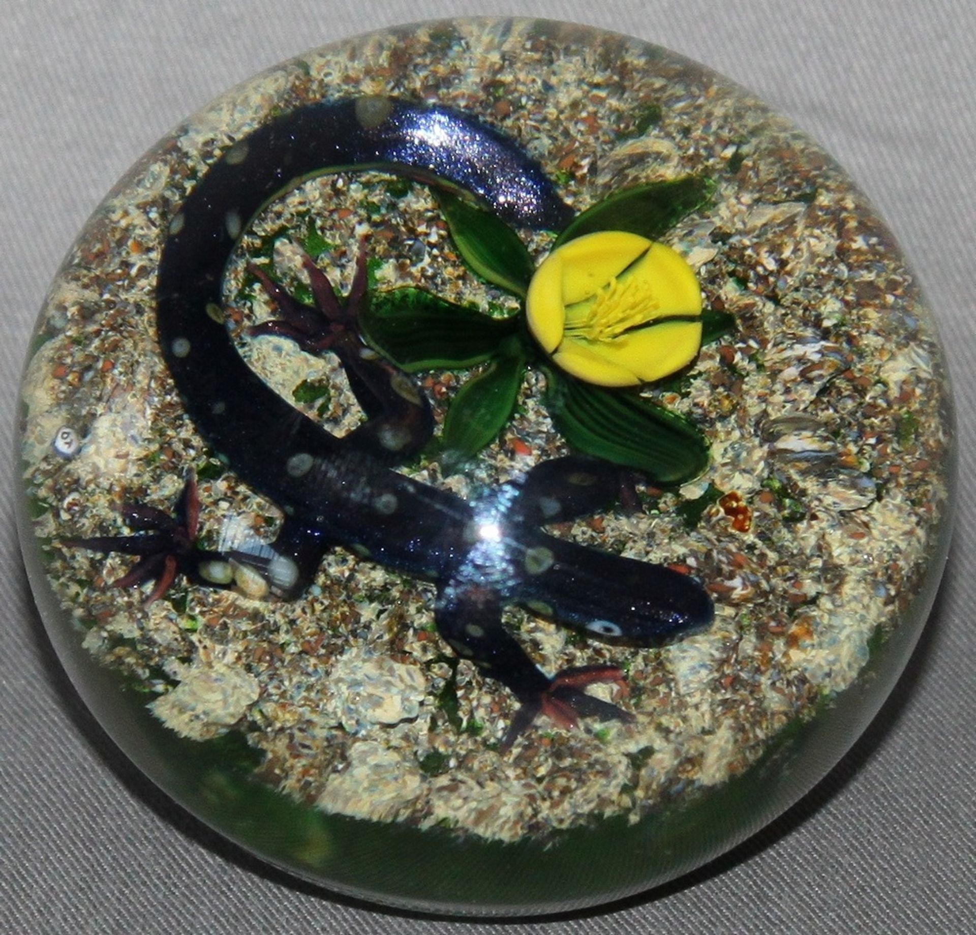 Glas. Paperweight / Briefbeschwerer. Tarsitano, Delmo. (Blauer Salamander am Boden mit gelber