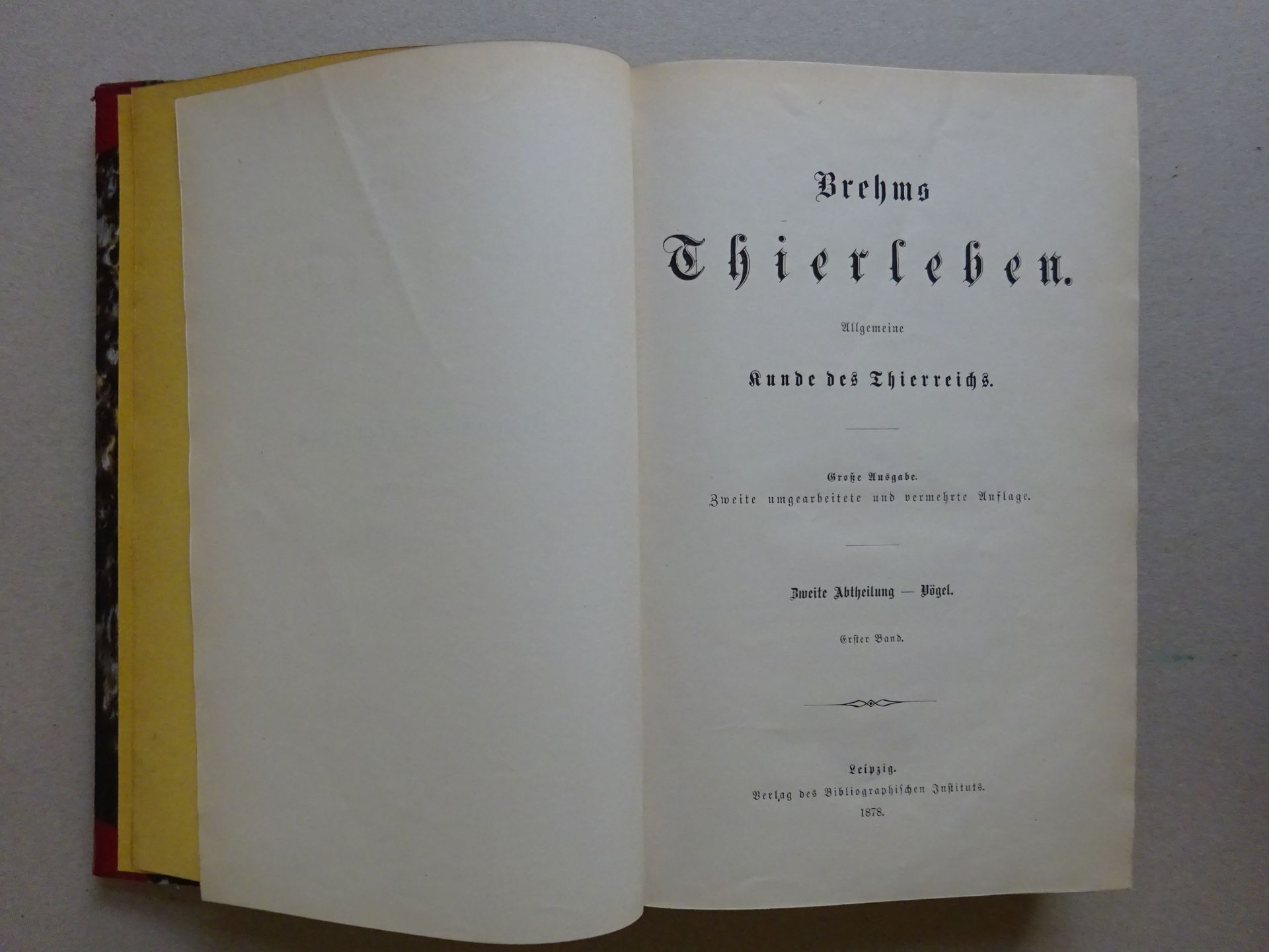 Brehm - Tierleben 2. Aufl. - Image 2 of 6