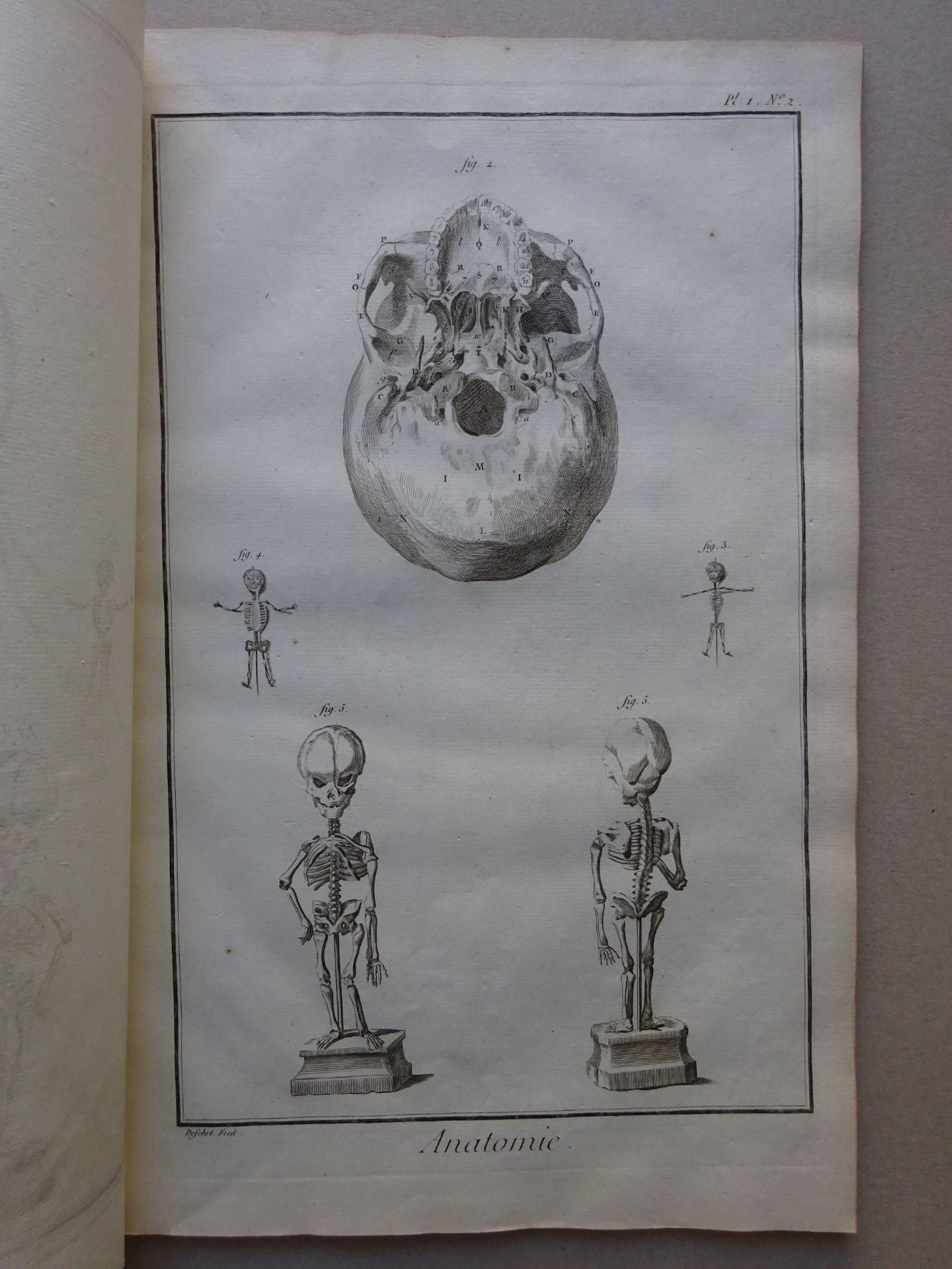 Diderot/d'Alembert - Anatomie + Beig. - Bild 6 aus 9