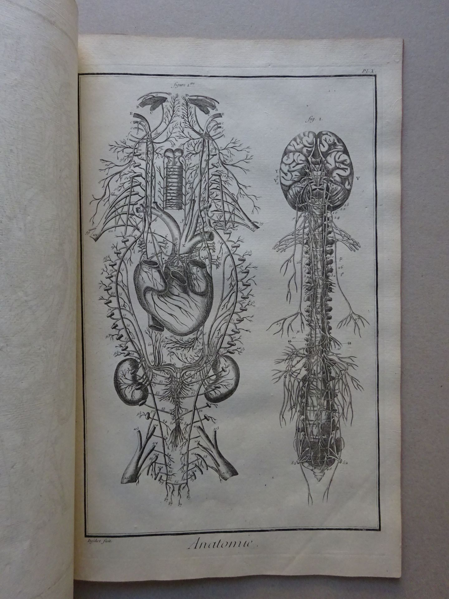 Diderot/d'Alembert - Anatomie + Beig. - Bild 5 aus 9