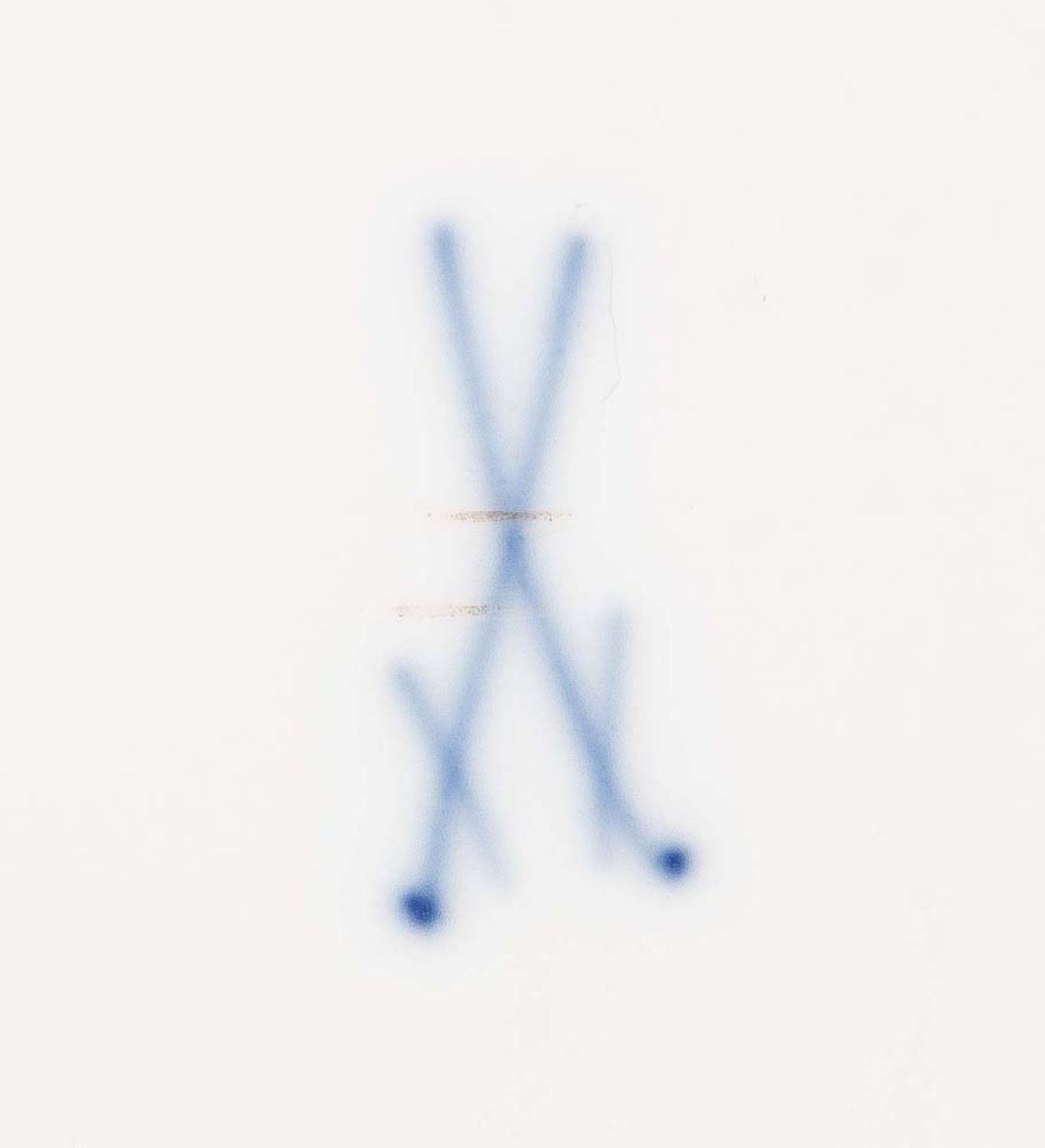 22-tlgs. Teilservice „Blaue Blume“. Bestehend aus: Elf kleine Beiteller (D=15,5 cm), zwei - Bild 2 aus 2