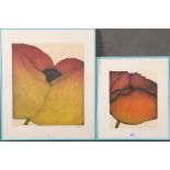 Art Hansen (1929-2017). „Poppy“. Zwei Farblithographien 20/35 bzw. 50/70, re./u./sign., 43 x 38 / 30
