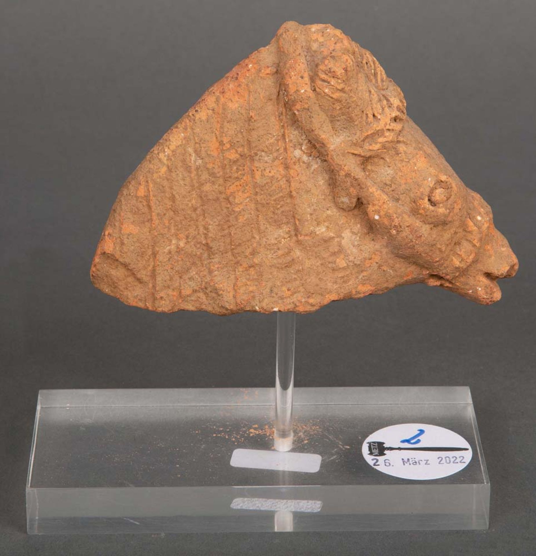 Fragment eines Pferdekopfes. Lt. Rechnung Römisch 2. Jh. n. Chr. Ton gebrannt, montiert auf moderner