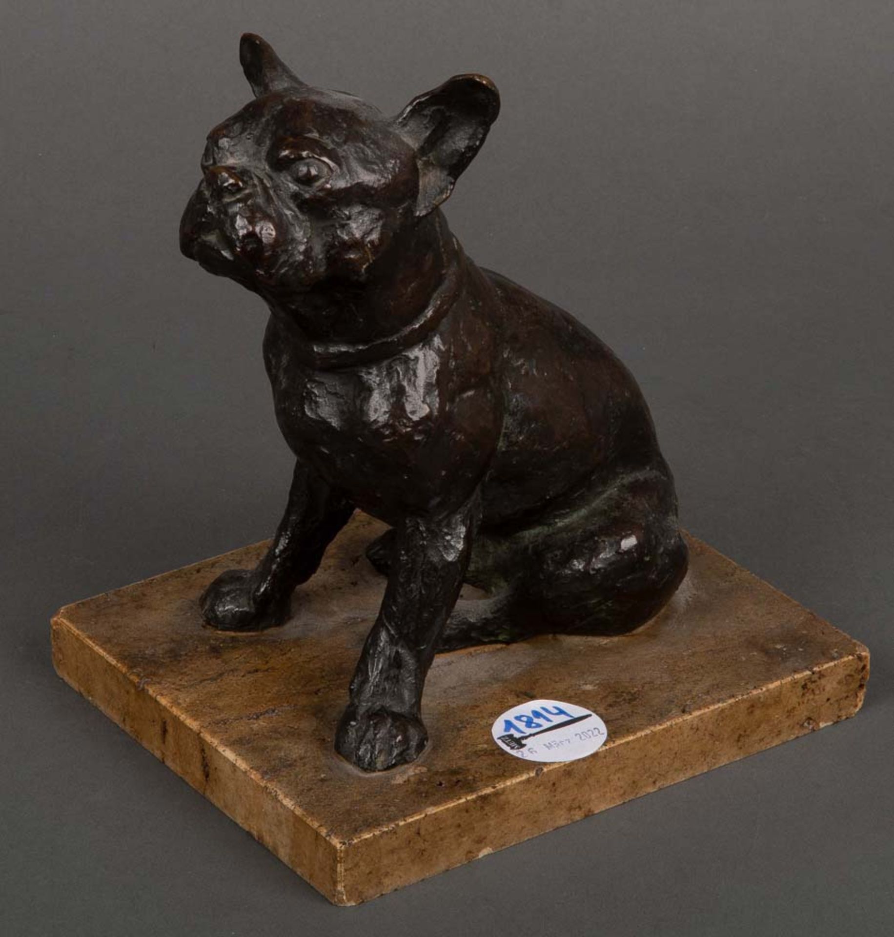 Sitzende Bulldogge auf Marmorsockel. Wien, Franz Bergmann um 1900. Bronze, naturalistisch