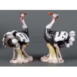 Paar Straußenvögel Fürstenberg 1754 Je stehend auf ovalem Sockel. Naturalistisch modelliert und