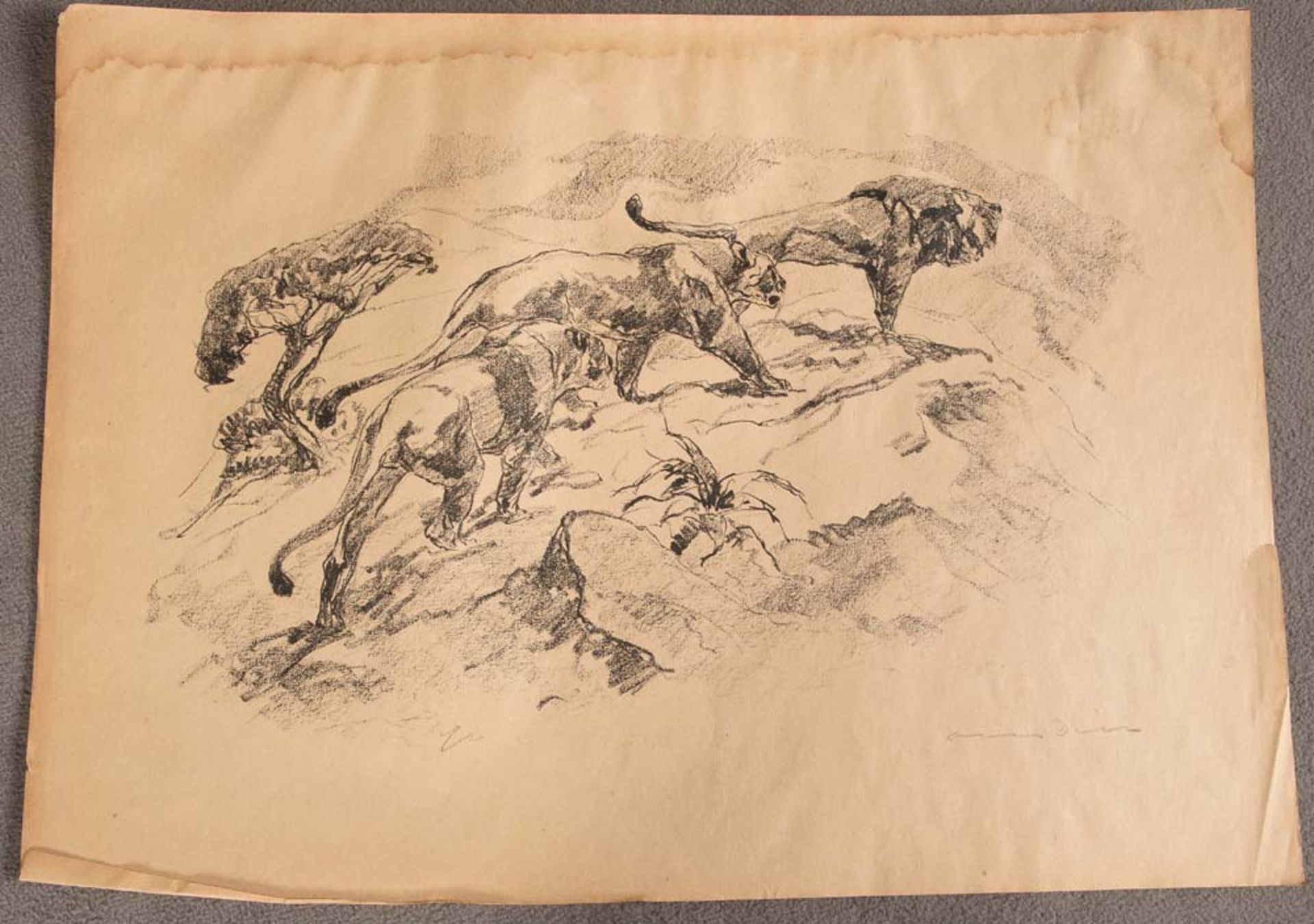 Otto Dill (1884-1957). Raubtierfantasien. Zehn Lithografien in Mappe, re. / li. bzw. u. sign., 28, - Bild 3 aus 5