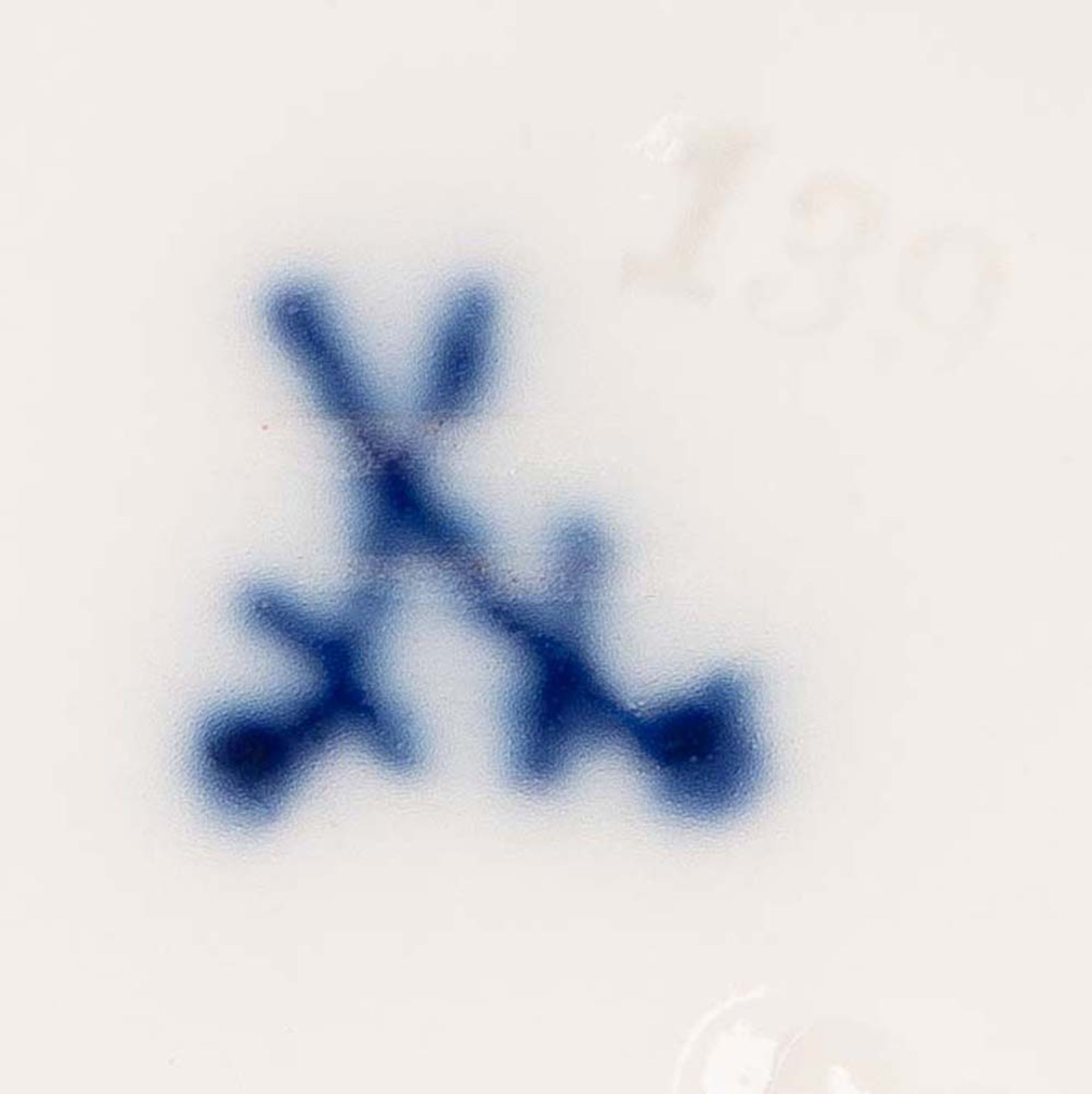 Fünf Muschelschalen. Meissen 19. Jh. Porzellan, bemalt mit Dekor „Feldblume“, am Boden gemarkt, III. - Bild 2 aus 2