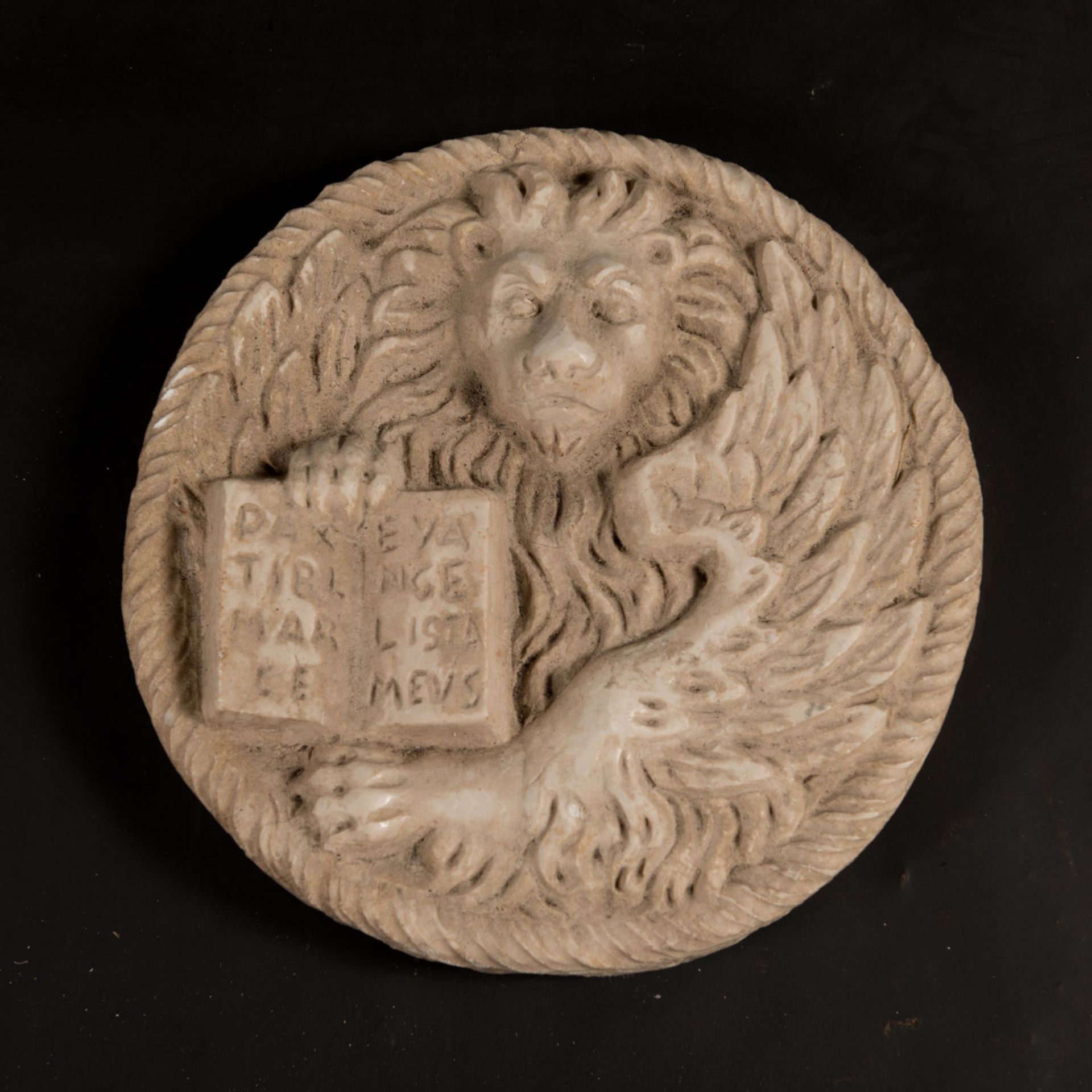 St Marks Lion