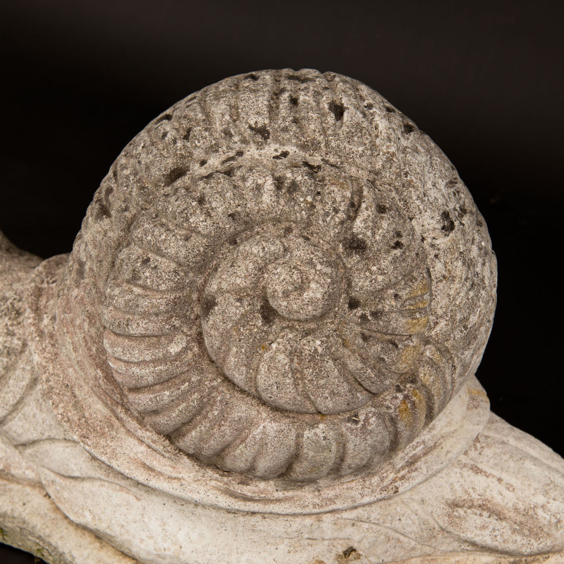 Garden snail - Image 3 of 3