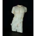 Roman Marble Torso