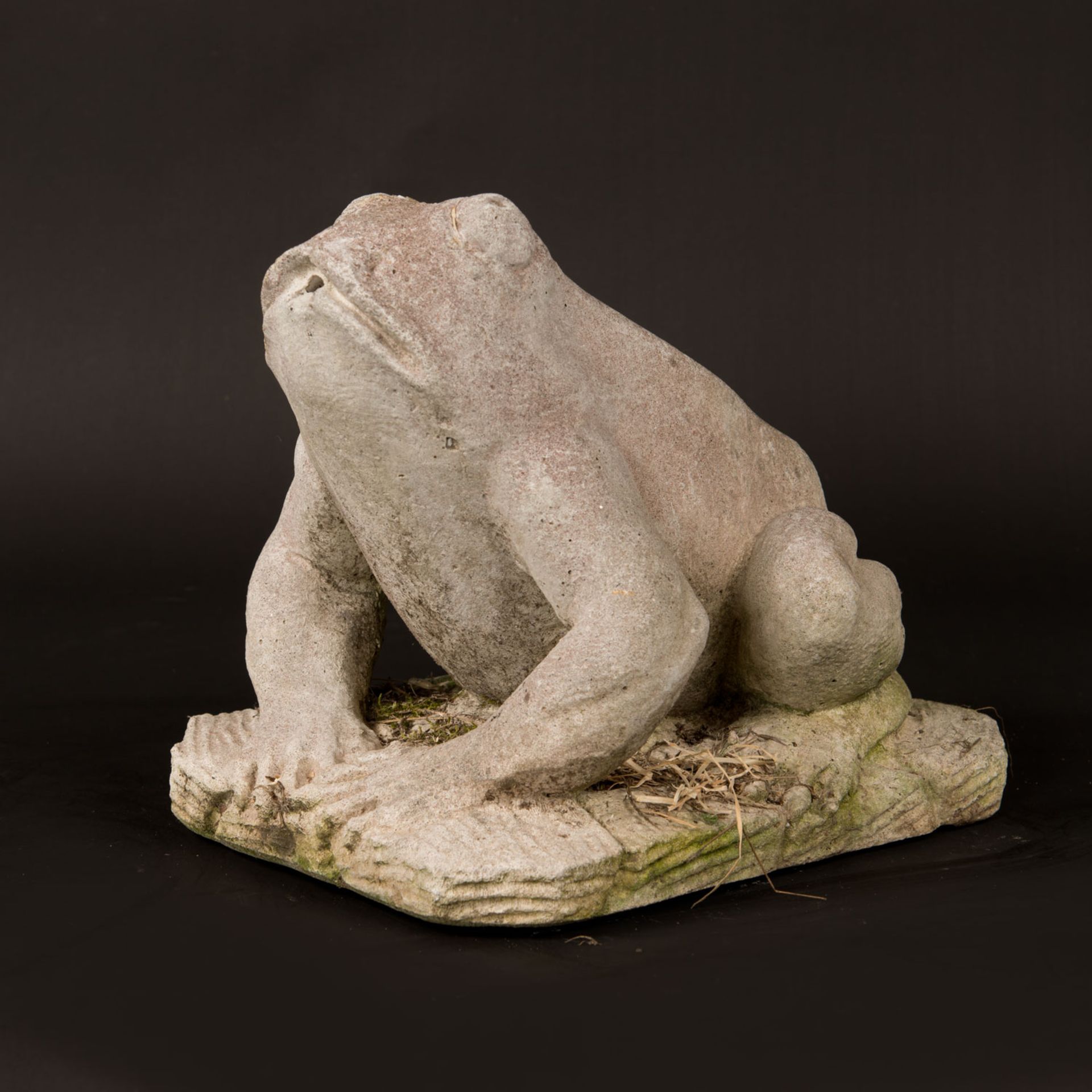 Garden frog fountain - Image 3 of 3