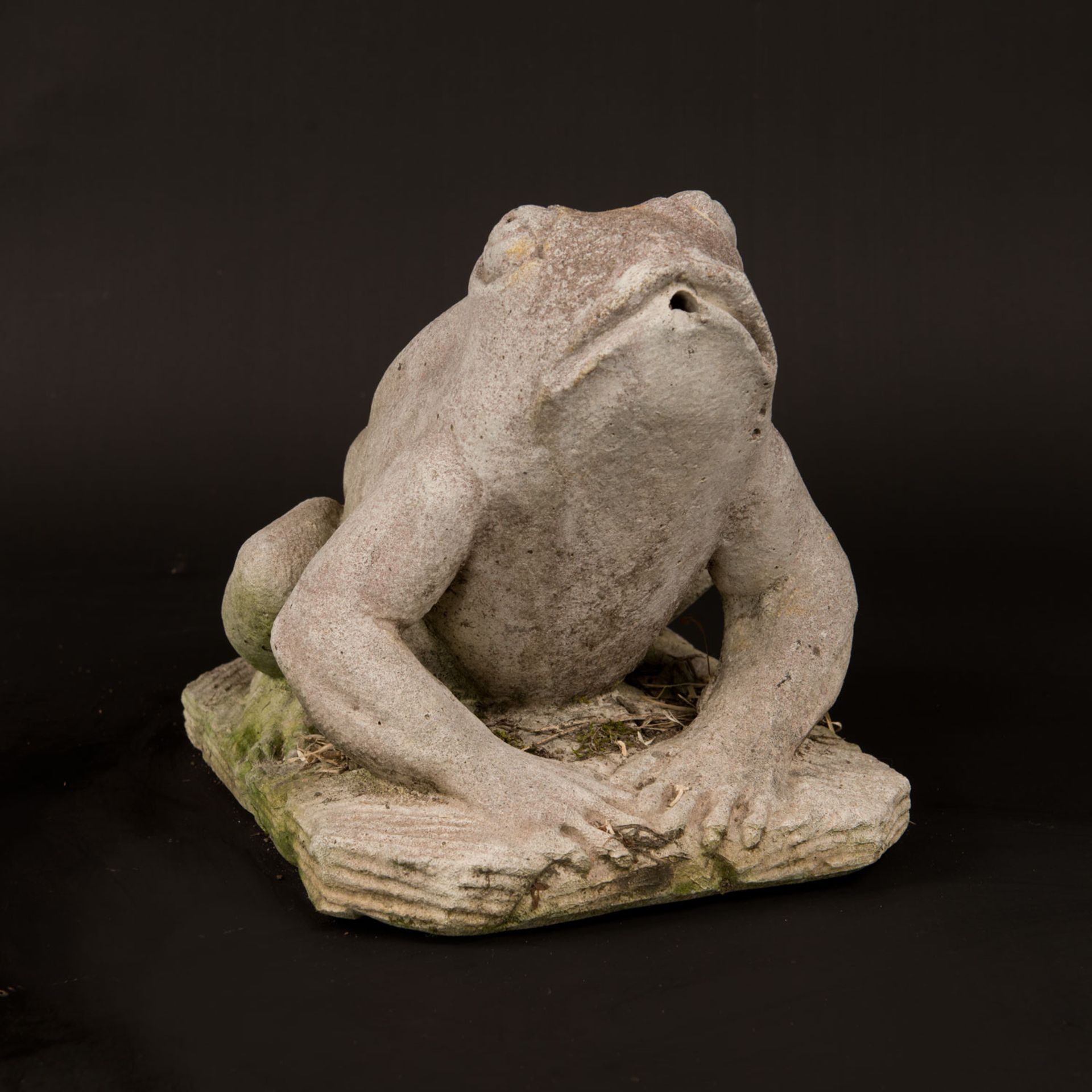 Garden frog fountain - Image 2 of 3