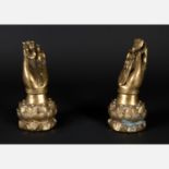 Buddhas Hands