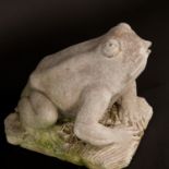 Garden frog fountain