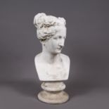 Paolina Borghese Bust