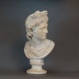 Bust of Apollo