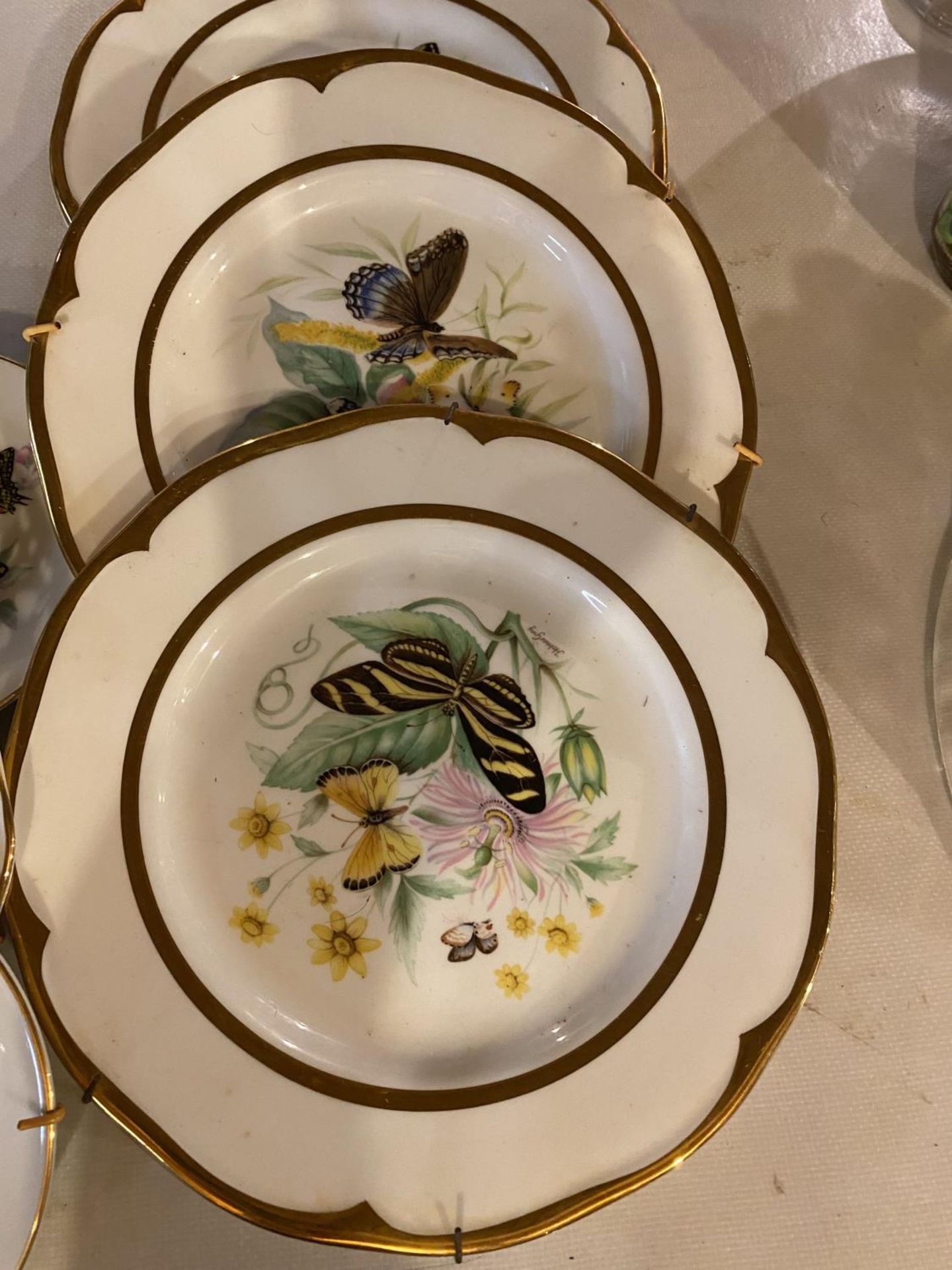 A COLLECTION OF COLLECTORS PLATES FEATURING BIRDS AND BUTTERFLIES - Image 2 of 4