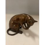 A BRONZE SITTING CAT ORNAMENT, HEIGHT 10CM, WIDTH 15CM