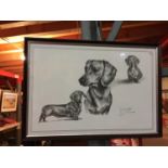 A FRAMED PRINT OF DACHSHUNDS SIGNED JOEL KIRK SIZE 51CM X 36CM