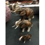 THREE ROYAL DUX ELEPHANTS, SIZE, LARGE HEIGHT 25CM, MEDIUM 15CM, SMALL 9CM. ALL IN GOOD CONDITION