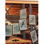 SEVEN FRAMED PICTURES OF GARDEN BIRDS TO INCLUDE, GOLDFINCH, THRUSH, CHAFFINCH, ROBIN, ETC, SIGNED