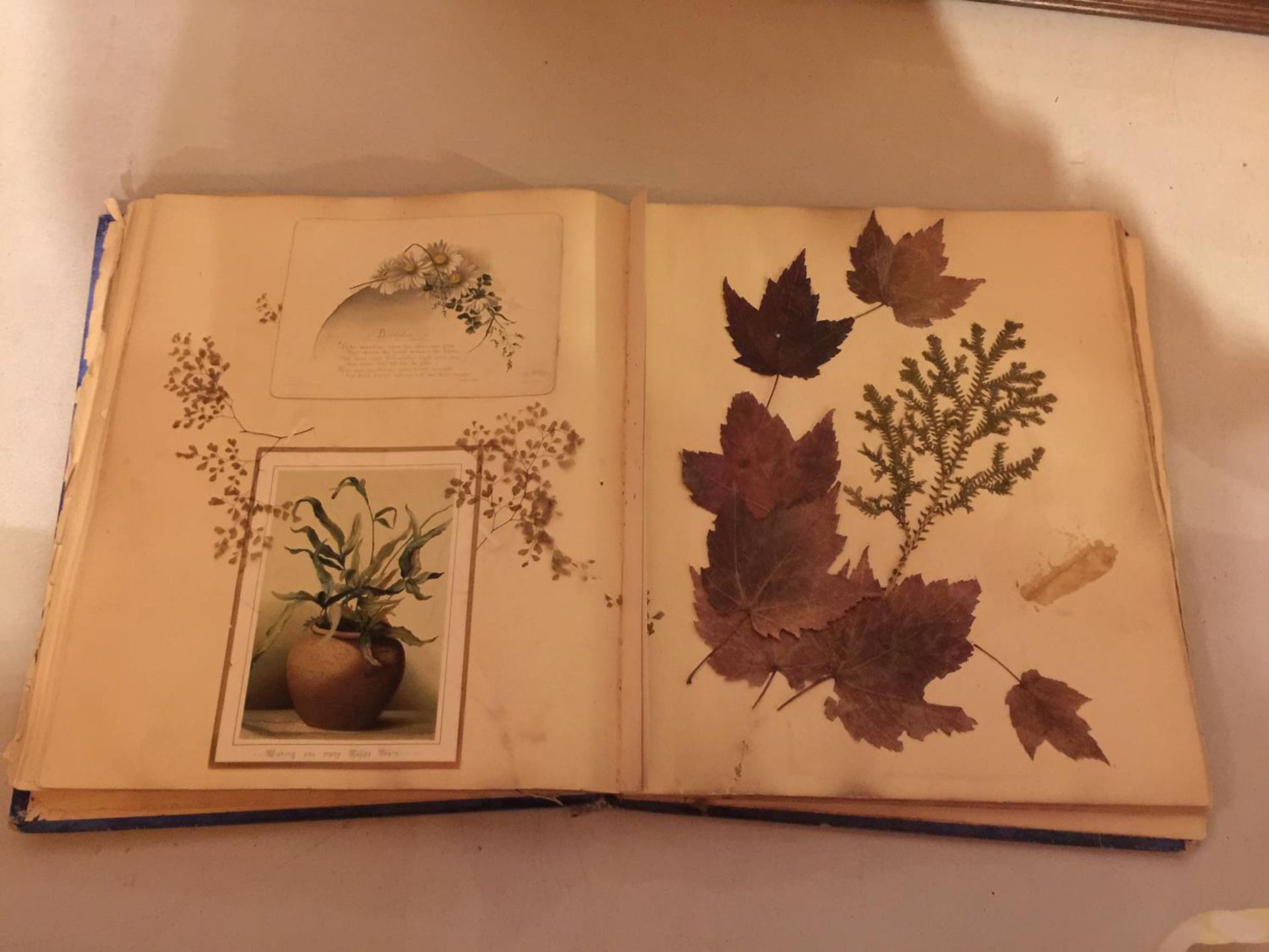 A VICTORIAN SCRAPBOOK CONTAINING CARDS AND PRESSED FLOWERS - Image 4 of 4