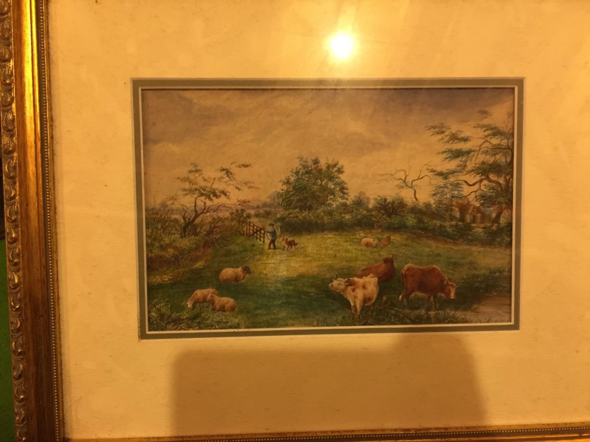 THREE FRAMED PICTURES TO INCLUDE, A CORNFIELD, COWS IN A MEADOW AND A LADY SLEEPING - Image 2 of 4