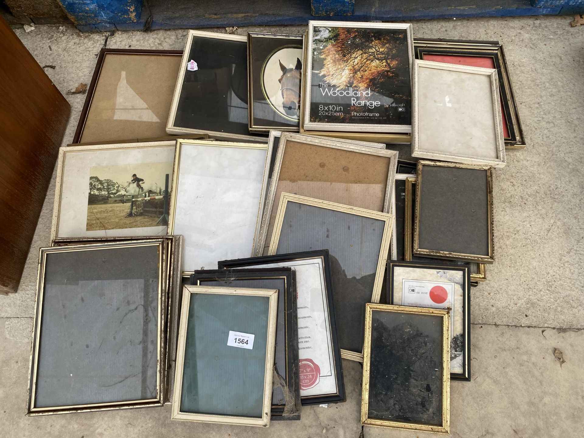 A LARGE QUANTITY OIF EMPTY PICTURE FRAMES