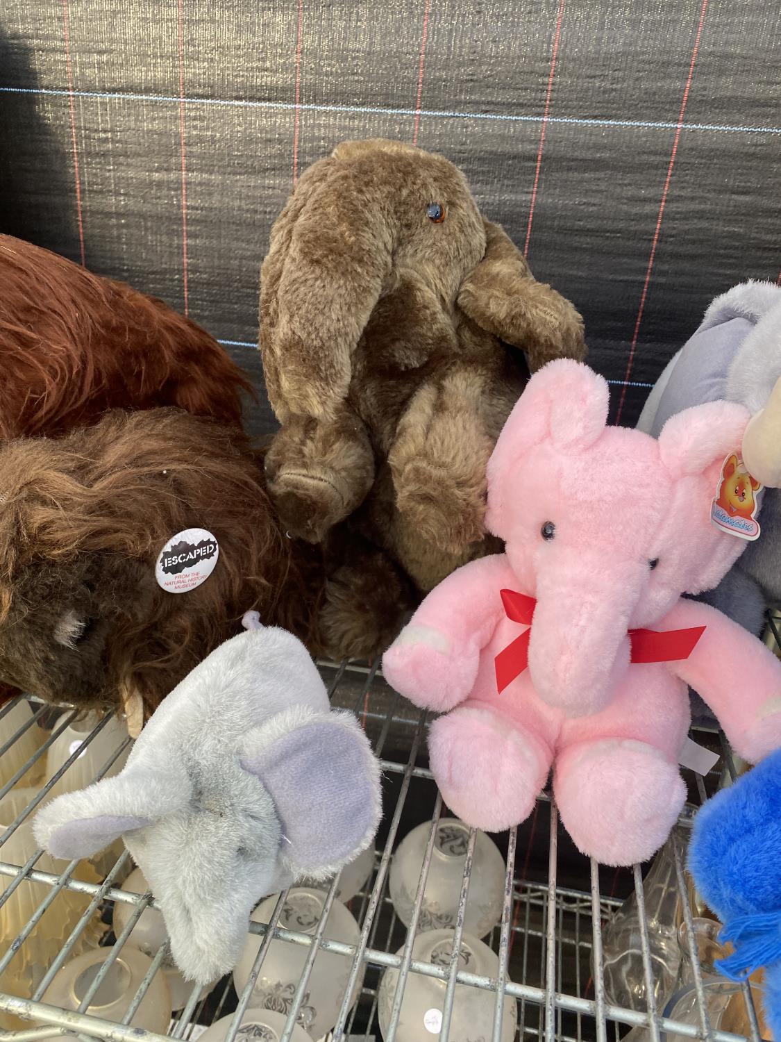 AN ASSORTMENT OF SOFT TOYS AND TEDDIES ETC - Bild 4 aus 6