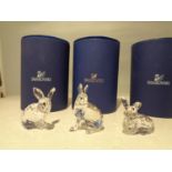 TWO SWAROVSKI RABBITS 905777, 905778 AND A SWAROVSKI HARE 105005 ALL WITH BOXES