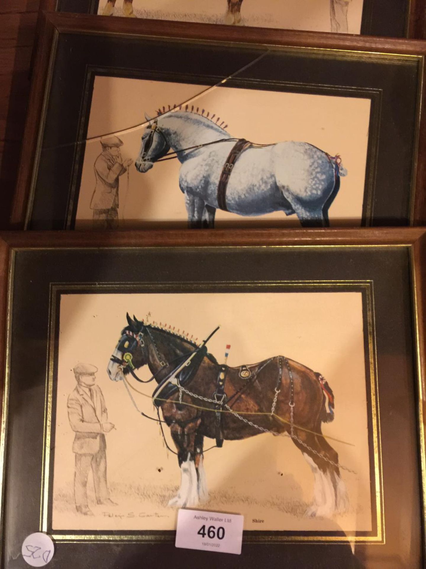 FOUR FRAMED PICTURES OF HEAVY HORSES TO INCLUDE, A SHIRE, A PERCHERON -CRACKED GLASS- A SUFFOLK - Image 2 of 3