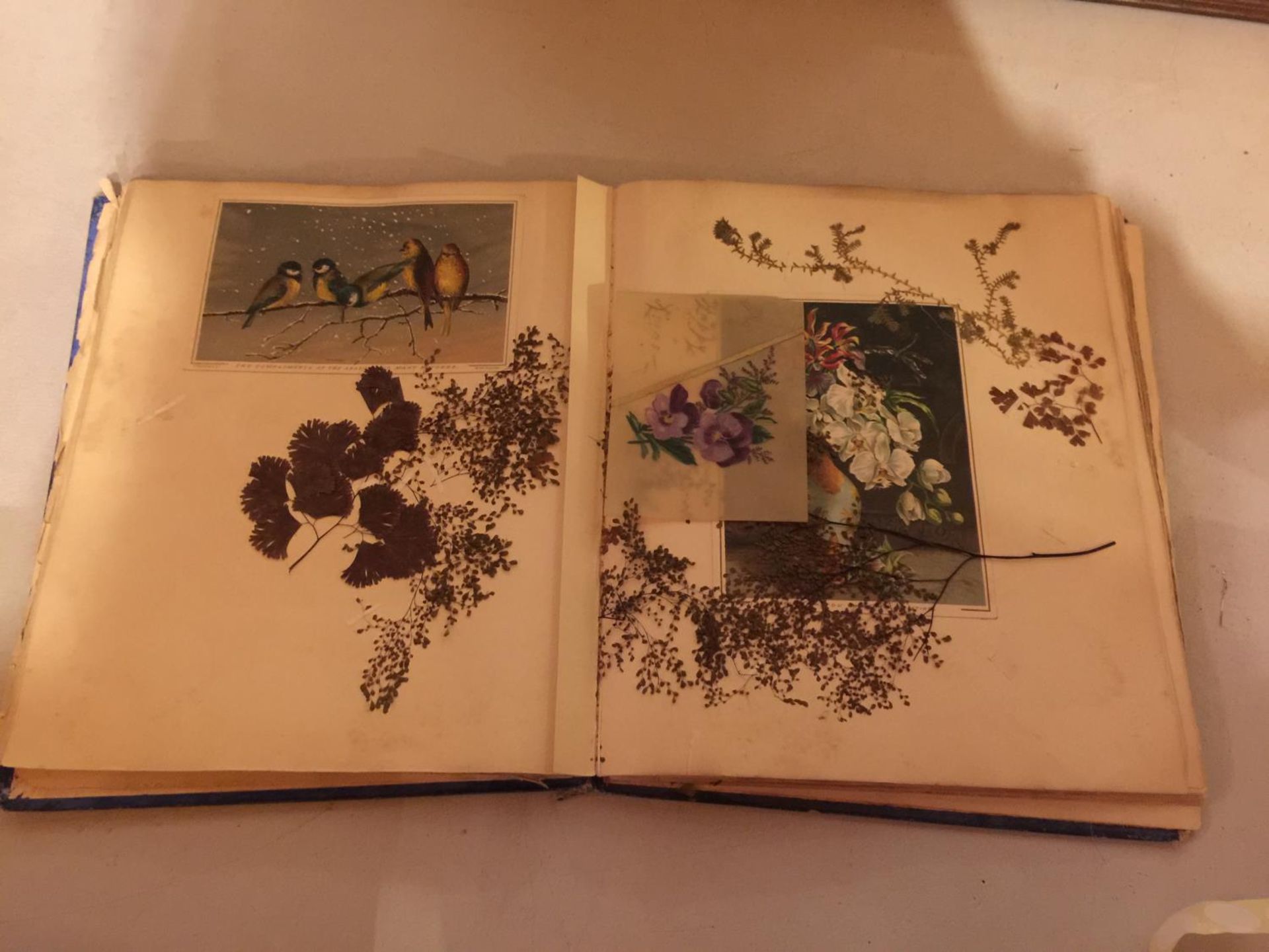 A VICTORIAN SCRAPBOOK CONTAINING CARDS AND PRESSED FLOWERS - Image 3 of 4