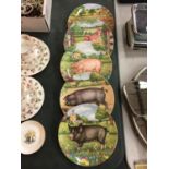 FIVE ROYAL DOULTON 'PIGS IN BLOOM'COLLECTION PLATES